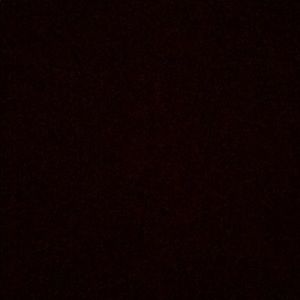 Meet your Posher, Cutberto